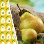 Iba 2 % ľudí dokážu nájsť slovo „hruška“ za 10