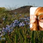 Magická hádanka pre pozorných: musíte odhaliť tajomstvo hyacintovej lúky