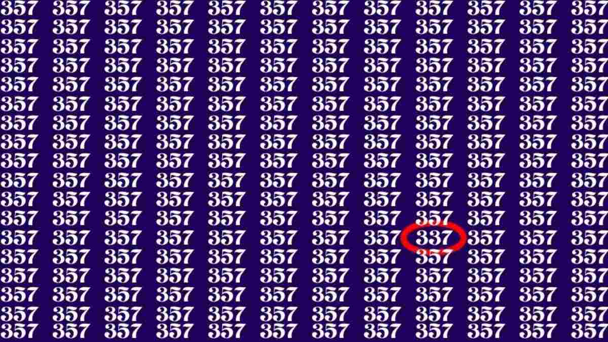 Číslo 337 nájdu len tí najpozornejší: optický klam pre géniov